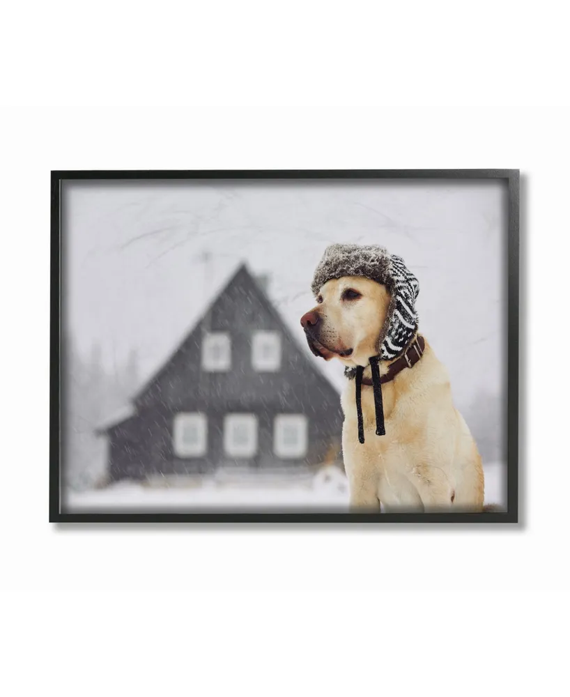 Stupell Industries Nordic Vibes Golden Retriever Dog Framed Giclee Art, 11" x 14"