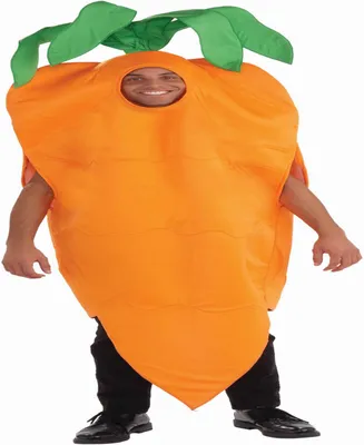 Buy Seasons Men's Carrot Costume