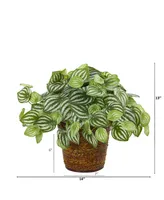 Nearly Natural 13" Watermelon Peperomia Artificial Plant in Basket Real Touch