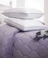 Allied Home Dream Infusion Lavender Scented Pillow Protector Collection