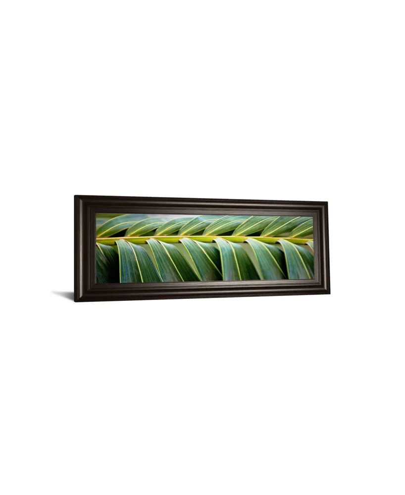 Classy Art Palma I by Susan Bryant Framed Print Wall Art - 18" x 42"