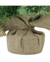 Northlight 24" Mixed Cashmere Pine Artificial Christmas Tree in Burlap Base - Unlit