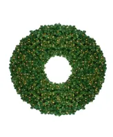 Northlight Pre-Lit Olympia Pine Artificial Christmas Wreath - 60 Inch Clear Lights