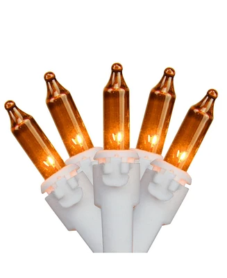 Northlight Set of 35 Mini Christmas Lights 2.5" Spacing