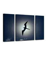 Ready2HangArt Frigatebird 3 Piece Wrapped Canvas Wildlife Wall Art Set, 32" x 48"