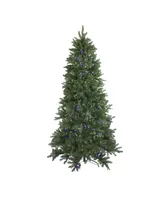 Northlight 6.5' Pre-Lit Led Instant Connect Neola Fraser Fir Artificial Christmas Tree - Dual Lights