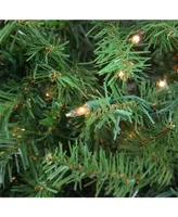 Northlight 6.5' Pre-Lit Northern Pine Full Artificial Christmas Tree