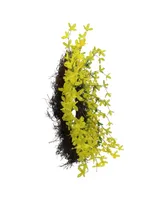 Northlight Forsythia and Grapevine Spring Wreath Yellow 24-Inch