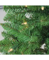 Northlight 4.5' Pre-Lit White River Fir Artificial Pencil Christmas Tree - Clear Lights