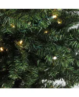 Northlight 6' Pre-Lit Canadian Pine Artificial Christmas Tree