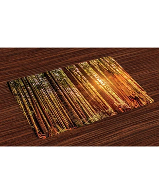 Ambesonne United States Place Mats, Set of 4