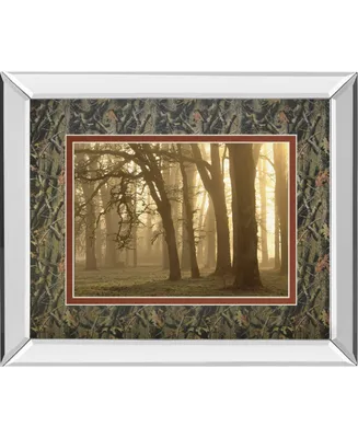 Classy Art Woodland Sweep by Dennis Frate Mirror Framed Print Wall Art, 34" x 40"