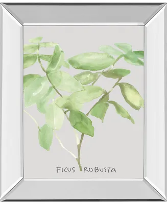 Classy Art Ficus Robusta by Katrien Soeffers Mirror Framed Print Wall Art, 22" x 26"