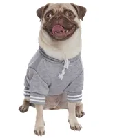 Parisian Pet Blessed Dog Hoodie