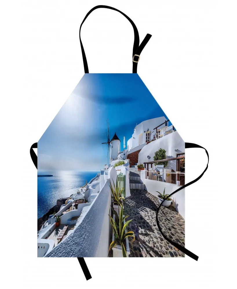 Ambesonne Summer Apron