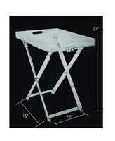 DesignStyles Acrylic Folding Tray Table