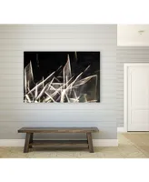 Giant Art 20" x 16" Chiffon Light Sculpture Museum Mounted Canvas Print