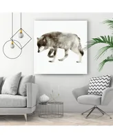 Giant Art 20" x 20" Wolf Museum Mounted Canvas Print