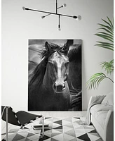 Giant Art 14" x 11" Stallion Iii Museum Mounted Canvas Print