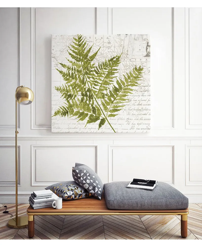 Giant Art 30" x 30" Fern I Museum Mounted Canvas Print