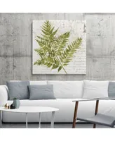 Giant Art Fern I Museum Mounted Canvas Print