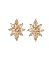 A&M Silver-Tone Champagne Flower Cluster Earrings - Silver
