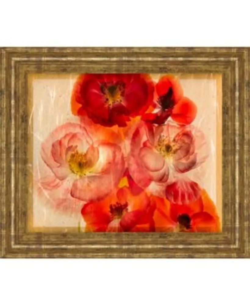 Classy Art Papaver Dreams By Harold Davis Framed Print Wall Art Collection