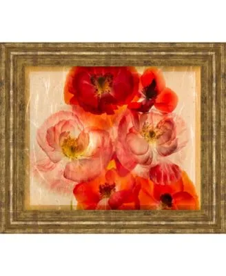 Classy Art Papaver Dreams By Harold Davis Framed Print Wall Art Collection