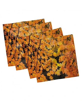 Ambesonne Fall Set of 4 Napkins, 18" x 18"