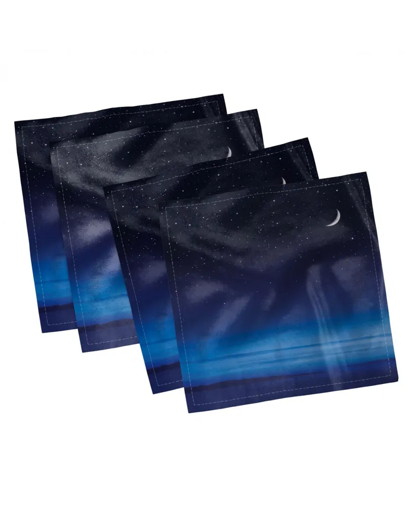 Ambesonne Night Set of 4 Napkins