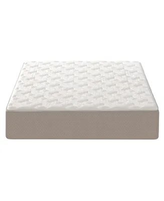 Dusk & Dawn 12" Medium Plush Mattress- Queen