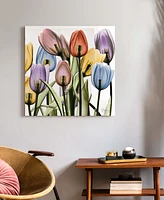 Empire Art Direct Tulip Scape x-ray Ii Frameless Free Floating Tempered Glass Panel Graphic Wall Art, 24" x 24" x 0.2"