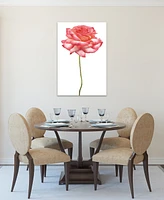 Empire Art Direct Pink Rose on White Frameless Free Floating Tempered Glass Panel Graphic Wall Art, 48" x 32" x 0.2"