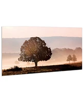 Empire Art Direct Plain View Frameless Free Floating Tempered Art Glass Wall Art by Ead Art Coop, 24" x 48" x 0.2"