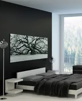 Empire Art Direct Growth Frameless Free Floating Tempered Art Glass Wall Art by Ead Art Coop, 36" x 72" x 0.2"