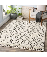 Livabliss Berber Shag Bbe-2301 Charcoal 2' x 2'11" Area Rug