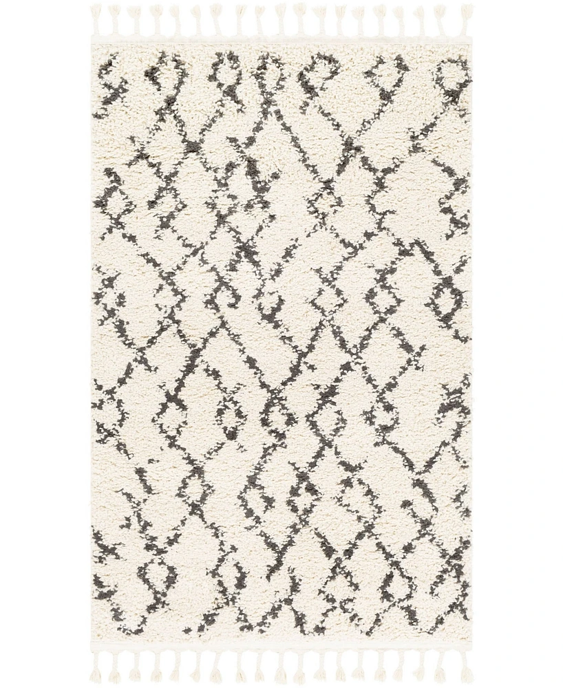 Livabliss Berber Shag Bbe-2301 Charcoal 3'1" x 4'11" Area Rug