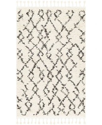 Livabliss Berber Shag Bbe-2301 Charcoal 3'1" x 4'11" Area Rug