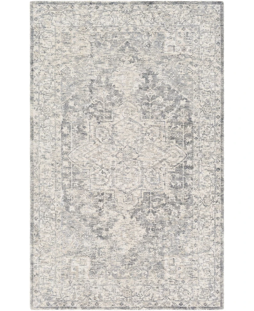 Surya Wilson Wsn-2303 Denim 2' x 3' Area Rug