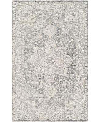 Surya Wilson Wsn-2303 Denim 2' x 3' Area Rug