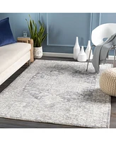 Surya Wilson Wsn-2303 Denim 8'10" x 12' Area Rug