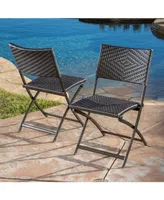 Noble House Winifred Outdoor Folding Chairs, Set of 2