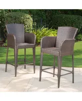 Noble House George Outdoor Barstools, Set of 2