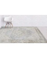 Amer Rugs Century Cen-11 Gray/Ivory 3'11" x 5'11" Area Rug