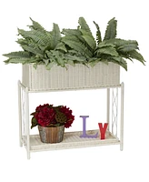 Resin Planter with Tray