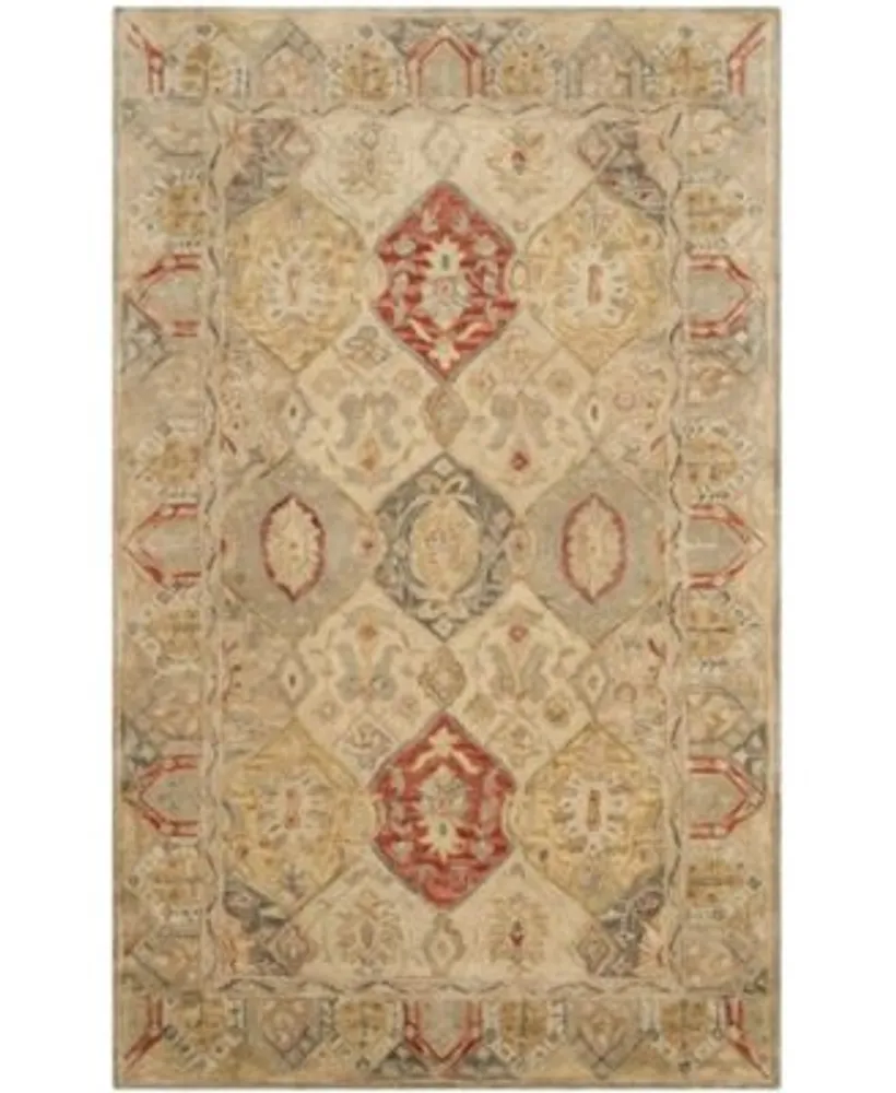 Safavieh Antiquity At830 Area Rug