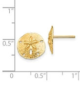 Sand Dollar Stud Earrings in 14k Gold