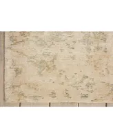 Nourison Home Lucent LCN05 Ivory 7'9" x 9'9" Area Rug