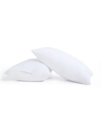 Truly Calm Antimicrobial Down Alternative 2 Pack Pillows With Protector