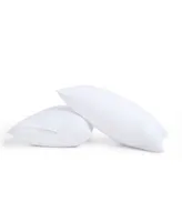 Truly Calm Antimicrobial Down Alternative 2 Pack Pillows With Protector